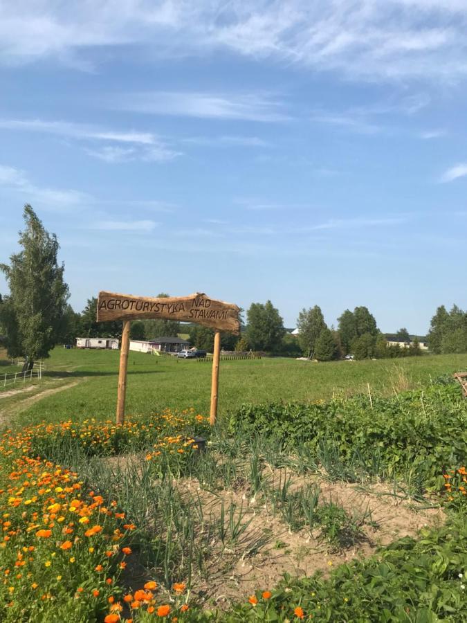 Agroturystyka Nad Stawami Szemud Exterior foto
